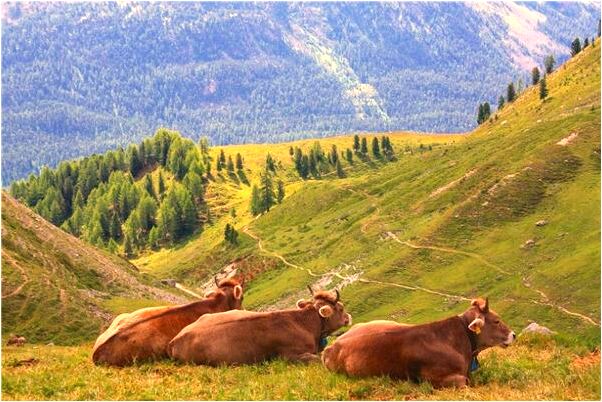 夢到了老公懷裡躺個女人會怎么樣_周公解夢官網