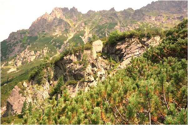 夢見我拿刀要殺老公是什麼意思_周公解夢官網