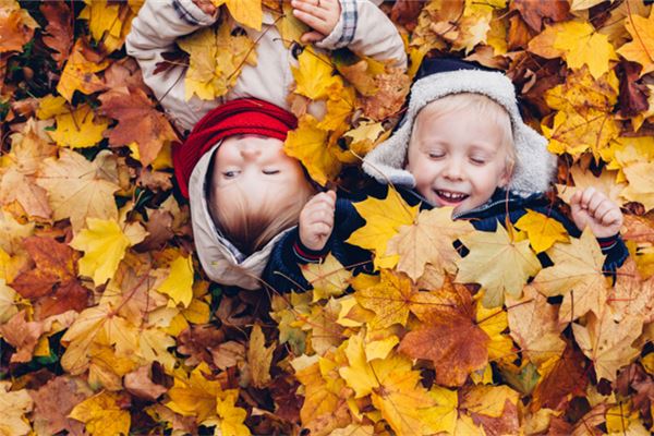 2016年屬猴的五行_十二生肖