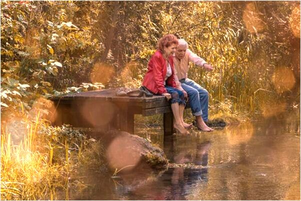 夢到半夜牽著一隻羊意味什麼_周公解夢官網