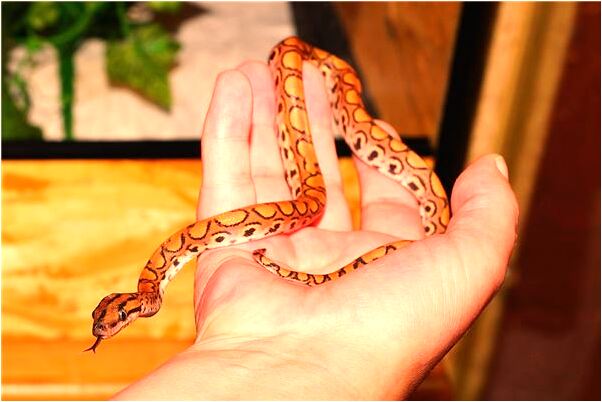 夢到海水上漲四周都是水是什麼徵兆_周公解夢官網