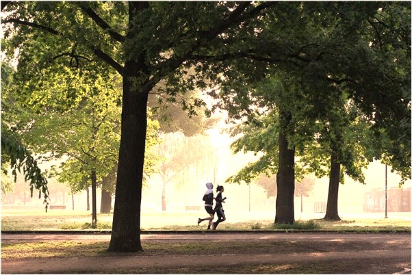 夢到了和小熊玩預示著什麼_周公解夢官網