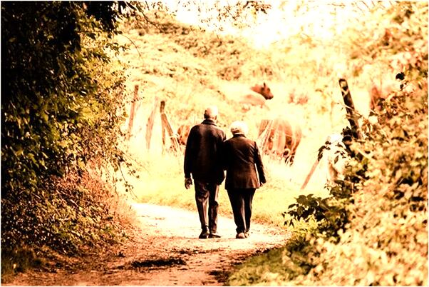 夢見對手的孩子長高了是什麼預兆？_周公解夢官網