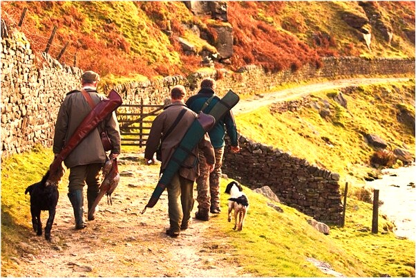 夢見跟朋友去旅遊是什麼徵兆_周公解夢官網
