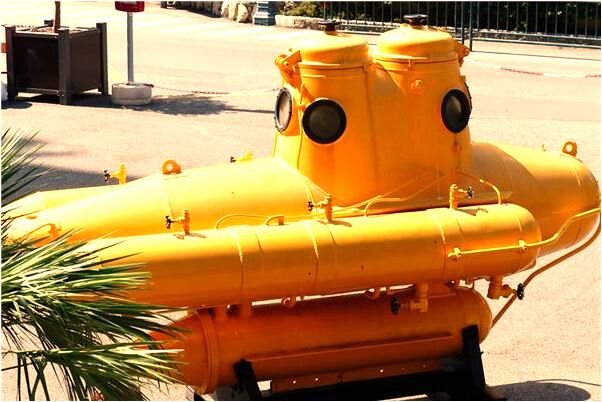 夢見烏龜吃東西是什麼預兆_周公解夢官網