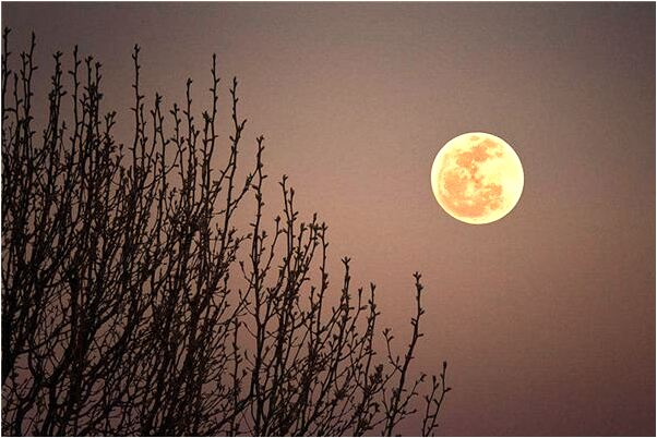 夢到了大學生的我考上大學是什麼預兆_周公解夢官網