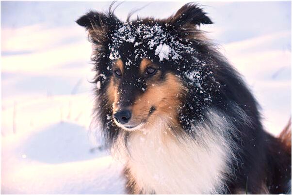 夢到了殯儀館車運輸死人經過什麼寓意_周公解夢官網