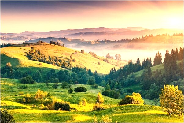 夢到媽媽不是親生媽媽有什麼含義_周公解夢官網