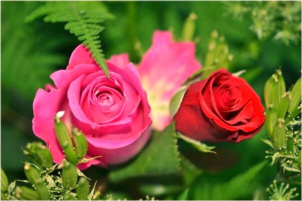 夢到了小孩從高處摔下來摔死了會是什麼預兆_周公解夢官網