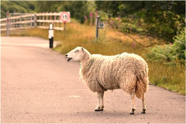 夢見人際關係變好是咋回事_周公解夢官網