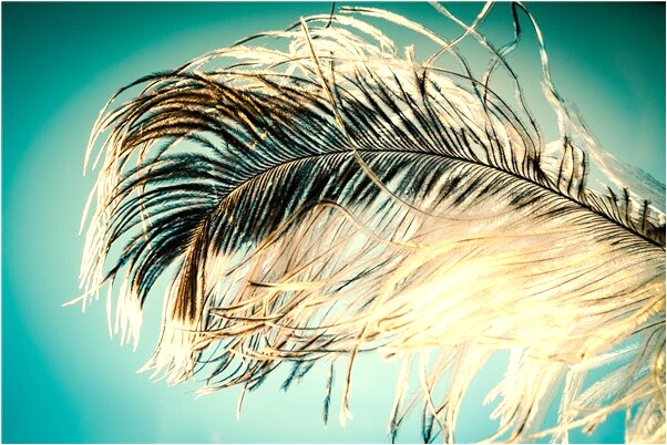 夢到了自己女兒的手指被割掉有什麼預兆_周公解夢官網