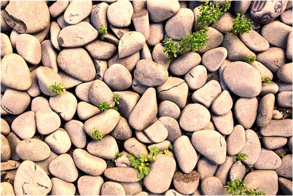 夢見有人偷我一隻鞋穿會是什麼預兆_周公解夢官網