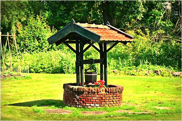 夢到夢大黃狗有什麼寓意嗎_周公解夢官網