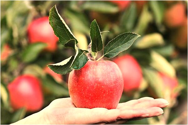 夢到了請輸入自己洗頭有什麼寓意嗎_周公解夢官網