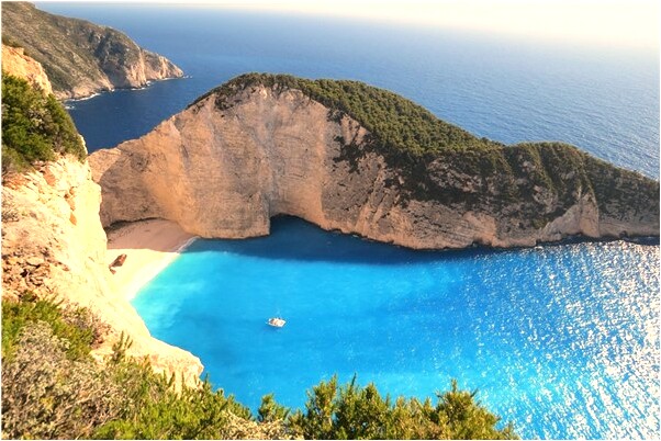 夢到抓到金雞會是什麼預兆_周公解夢官網