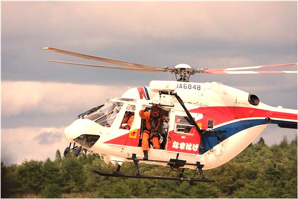 夢到被一隻白貓咬在脖子裡是凶兆還是吉兆_周公解夢官網