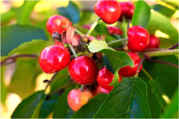 夢到用繩子飛的很高意味著什麼_周公解夢官網