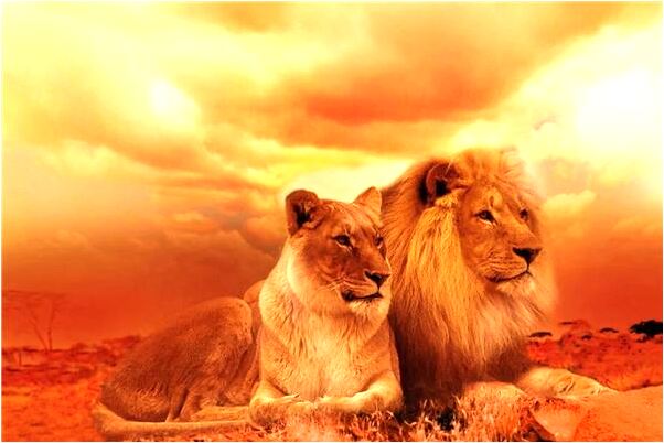 夢見把許多蛇扔在盆里意味著什麼_周公解夢官網