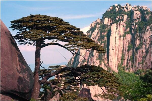 夢到狗把我追個樓道上是怎么回事_周公解夢官網