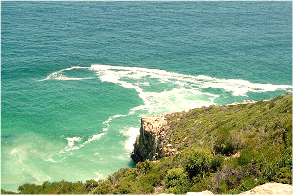 夢到很多荔枝和桃子會怎么樣_周公解夢官網