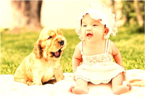 夢見兒子落水又被別人救起怎么回事_周公解夢官網