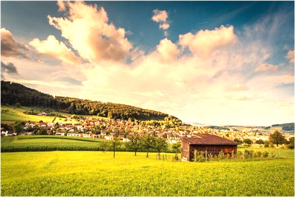 夢到加拿大漫遊費是什麼兆頭_周公解夢官網