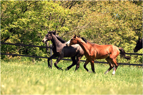 夢到了熟悉的女人踩我的腳意味著什麼_周公解夢官網