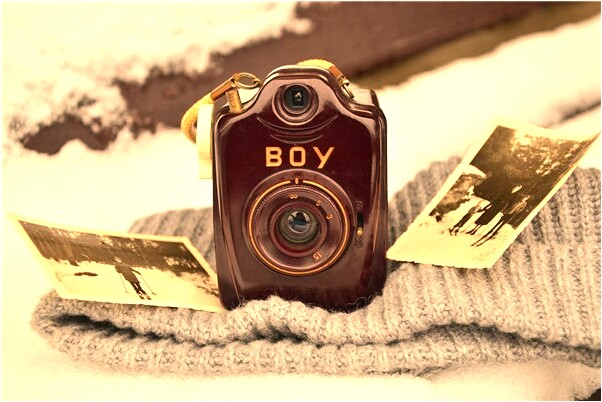 夢見種植橡樹林什麼寓意_周公解夢官網