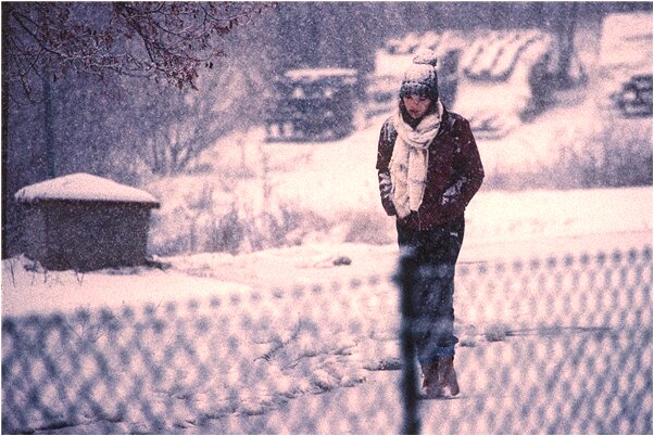 夢到了別人給我角很多長豆是什麼意思_周公解夢官網