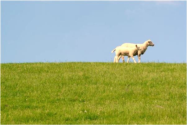 夢見三個鬼並說話了什麼寓意_周公解夢官網