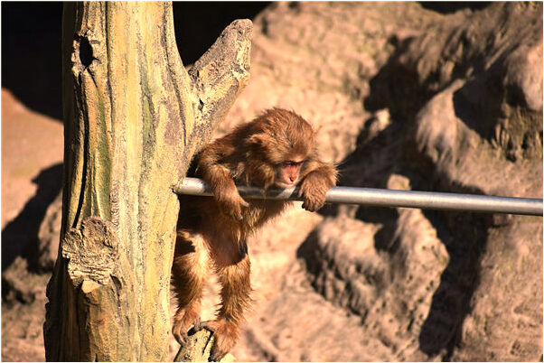 夢到了開車路前有水擋住是咋回事_周公解夢官網
