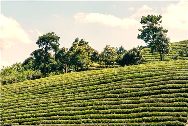 夢見打鑰匙開我媽家門好不好_周公解夢官網