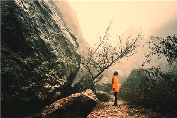 夢到別人家的女孩叫我媽媽有什麼寓意嗎？_周公解夢官網