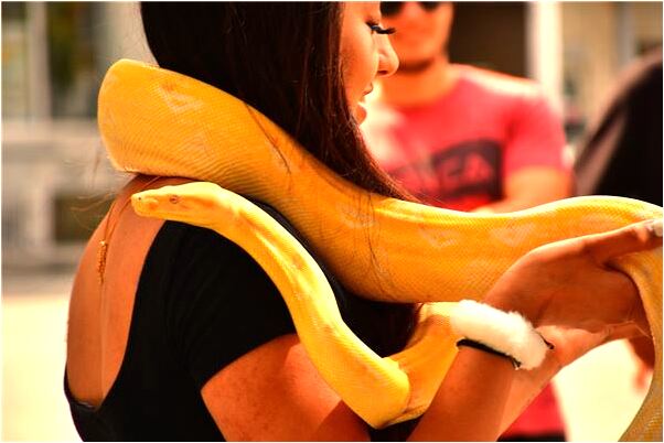 夢見帽子靈異有什麼預示嗎_周公解夢官網