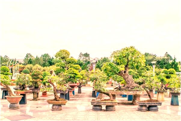 夢到堵車等紅燈代表著什麼_周公解夢官網