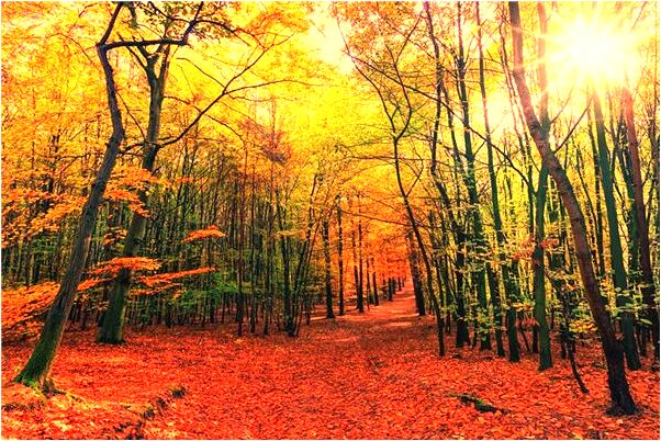 夢見跟人急眼是好事還是壞事_周公解夢官網