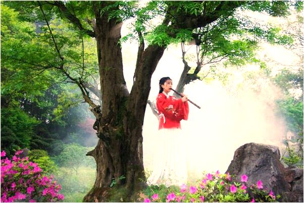 夢到了給很多狗餵食意味著什麼_周公解夢官網