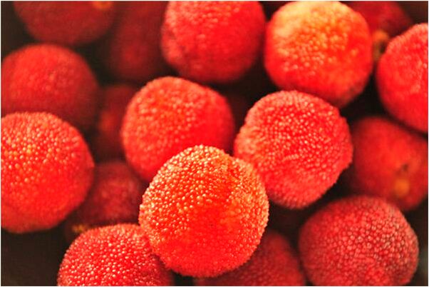 夢到牛丟了又找到了是什麼徵兆_周公解夢官網