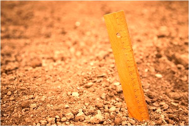 夢見一個墳墓好不好_周公解夢官網