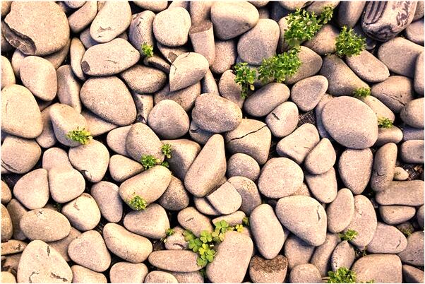 夢到了被凶人追好不好_周公解夢官網