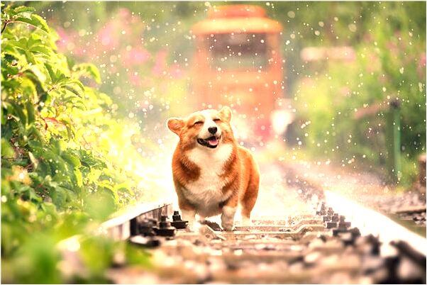 夢到了女兒語文老師對我笑意味著什麼_周公解夢官網