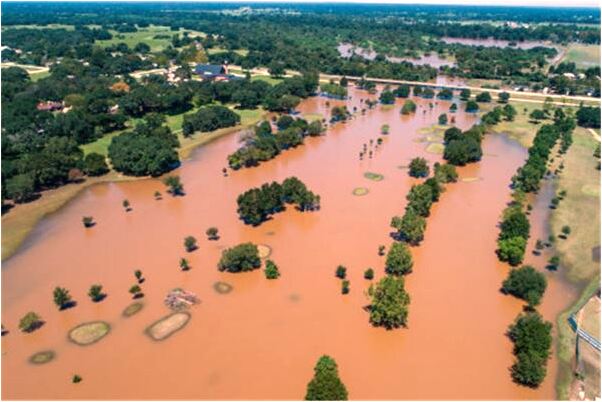 夢見瘋狂的親吻是啥意思_周公解夢官網
