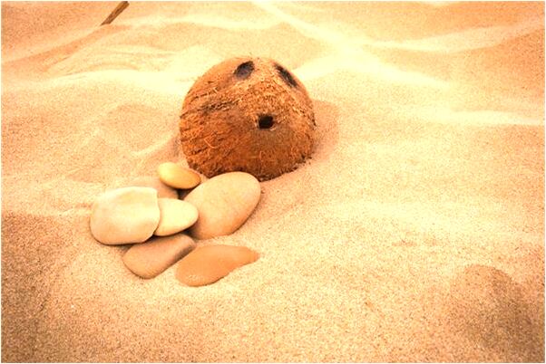 夢見爸爸發財是不是好的徵兆呢_周公解夢官網