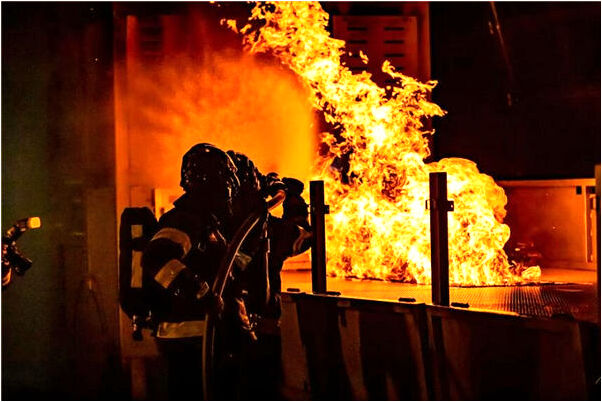 夢見樹根爛了是啥預兆_周公解夢官網