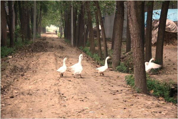 夢到了自己特生氣怎么樣_周公解夢官網
