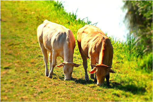 夢到了夢中解題預示了什麼_周公解夢官網