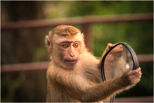 夢見被子丟了又找回來了意味什麼_周公解夢官網