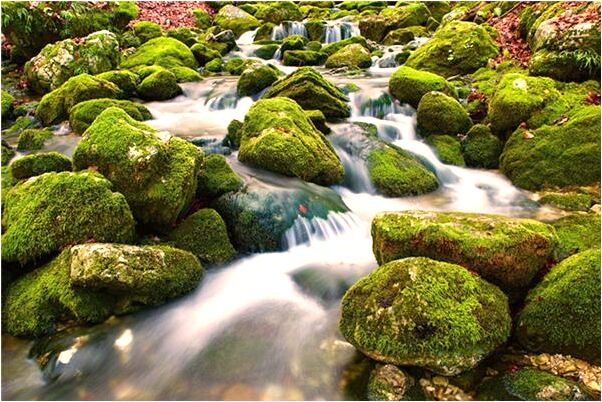 夢到感冒了去醫院是什麼意思？_周公解夢官網