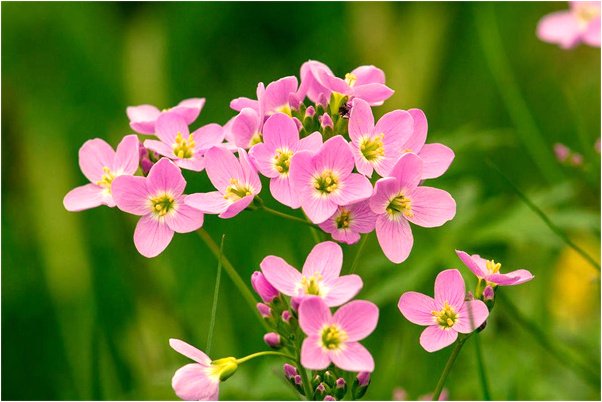 夢見自己的丈夫和別人做愛有什麼徵兆_周公解夢官網