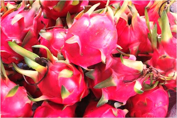 夢見老屋的門晚上總沒拴上會是什麼預兆_周公解夢官網